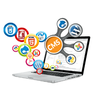 CONTENT MANAGEMENT SYSTEMS